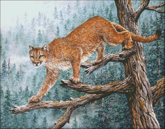 (image for) High Climber